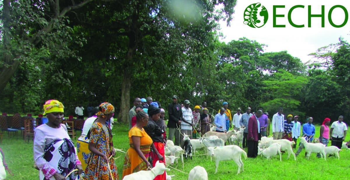 ECHO logo over photo of a line of people with their goats