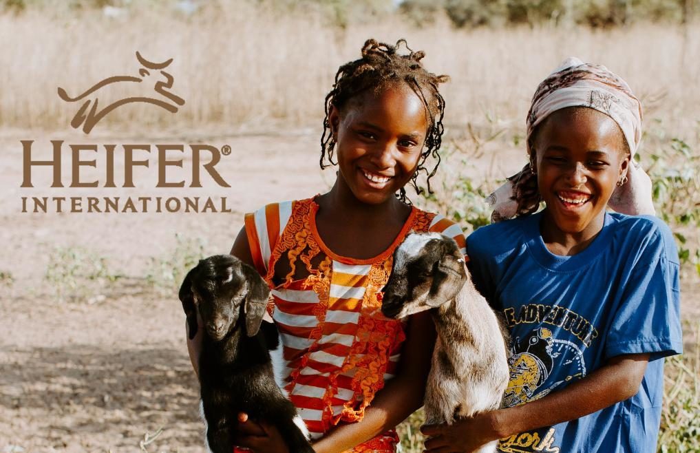 Heifer International logo over a photo of two girls holding goats