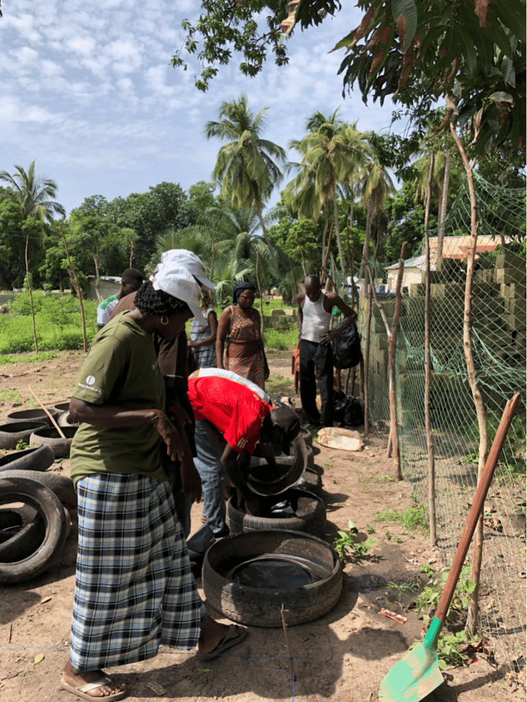 Growing Opportunity in Senegal
