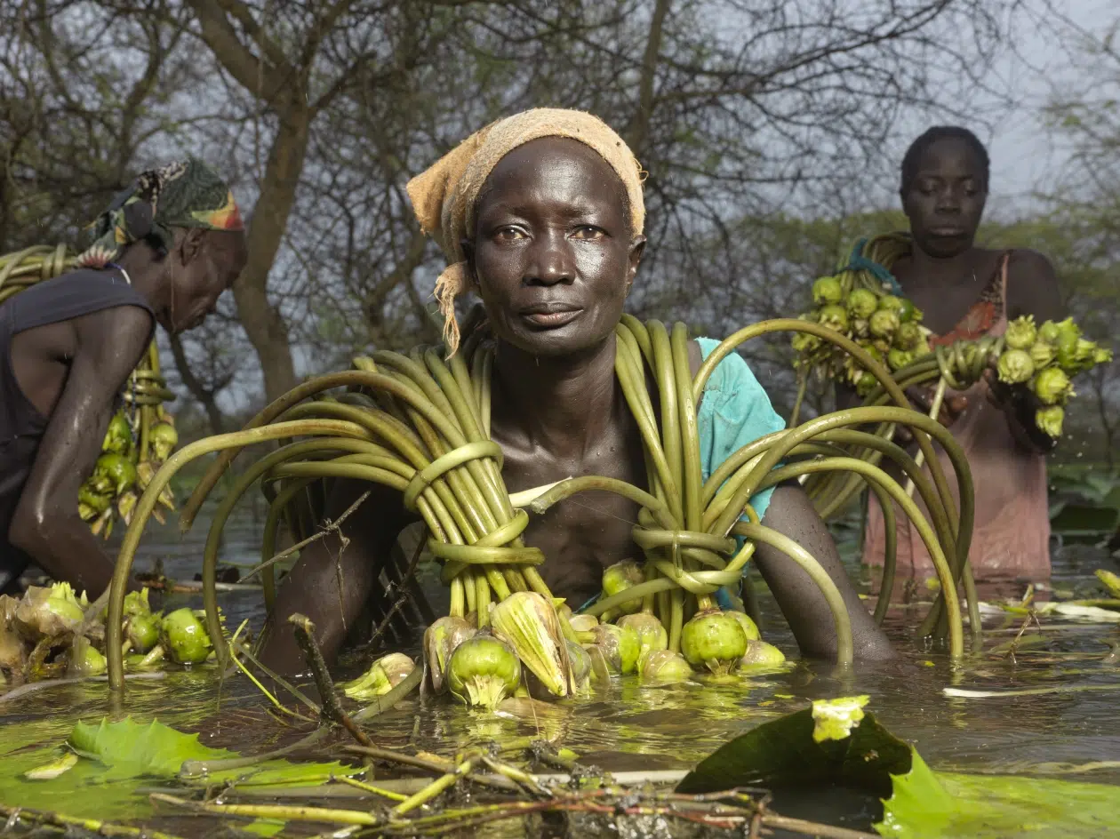 Woman holding plants