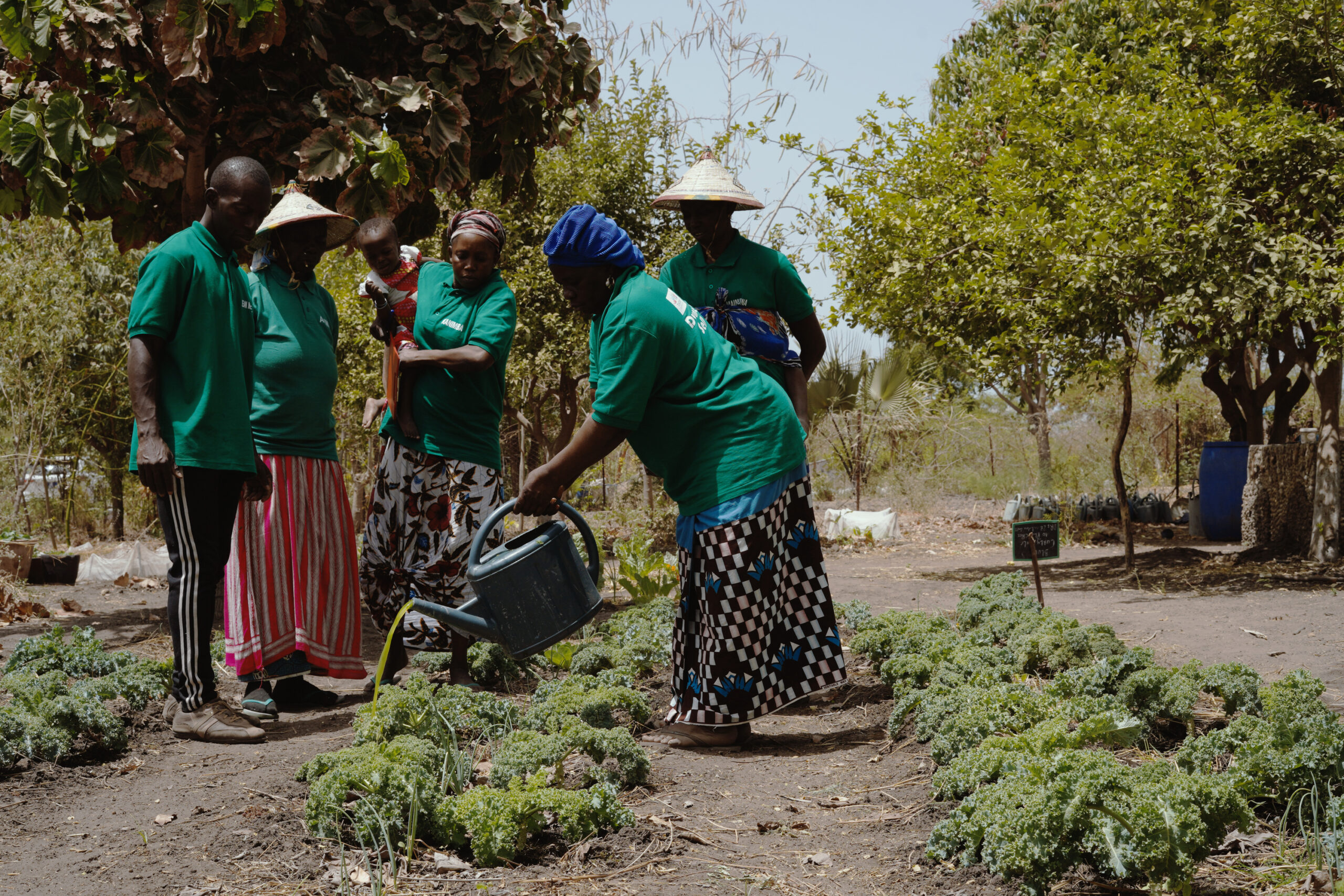 Seed Programs International 07 24