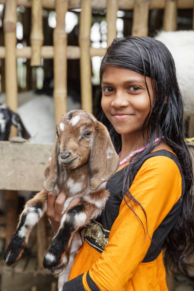 Girl holds a brown goat. 