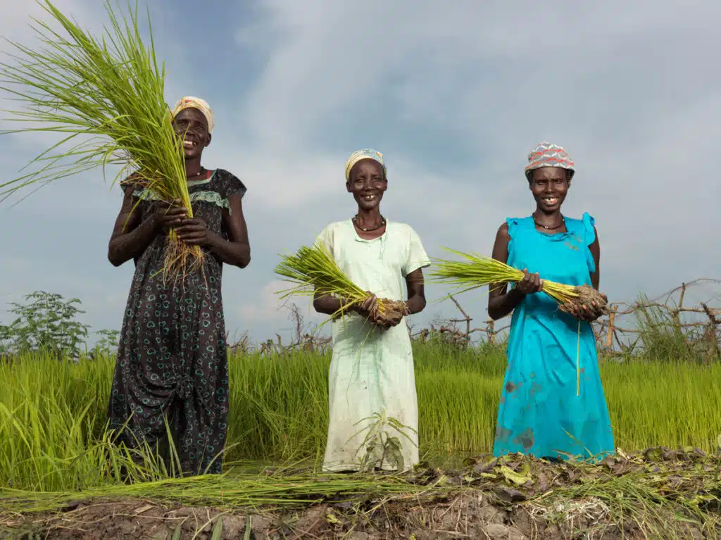 Three women holding crops outside