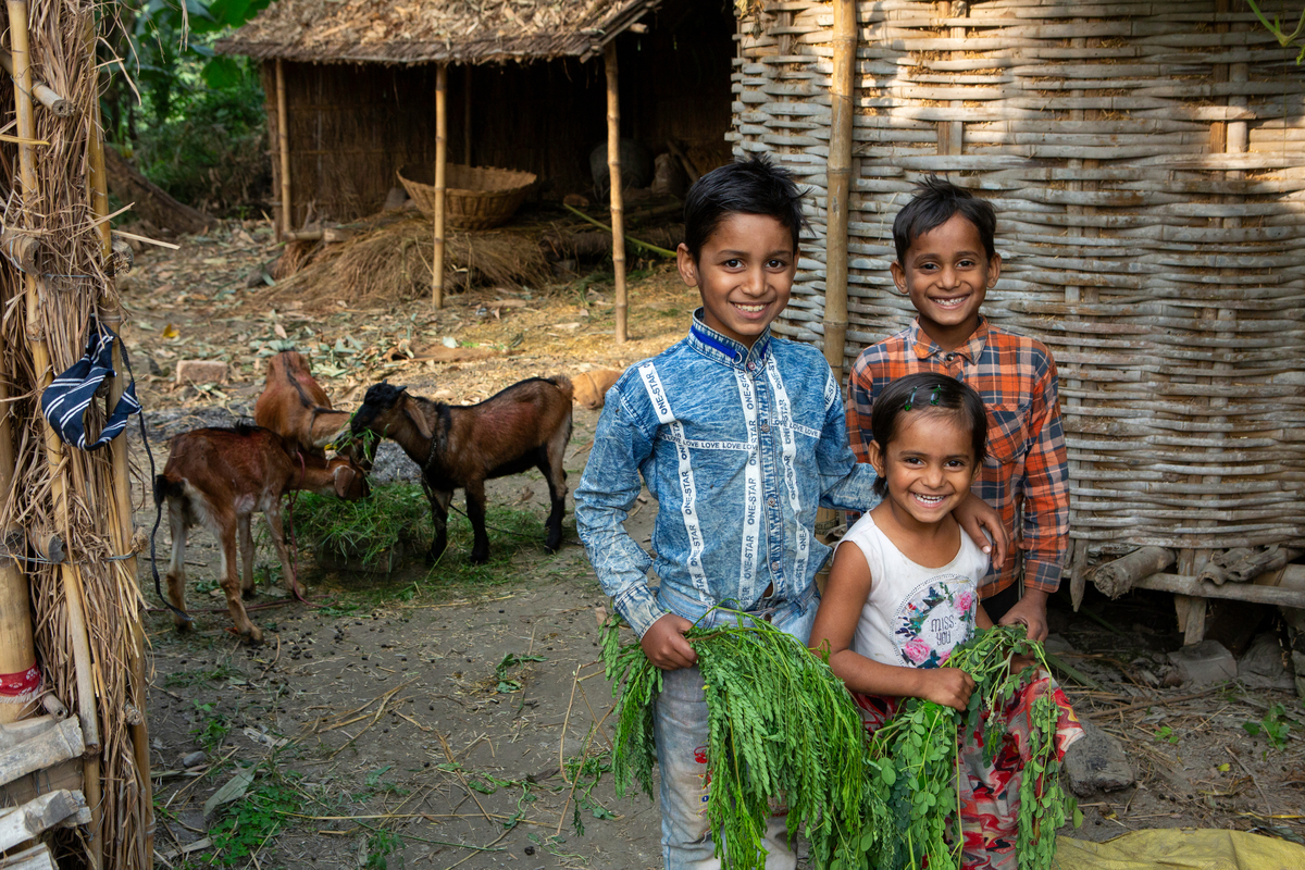Children smiling near goats