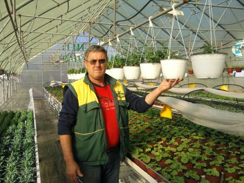 Miroslav holding a plant in a greenhouse
